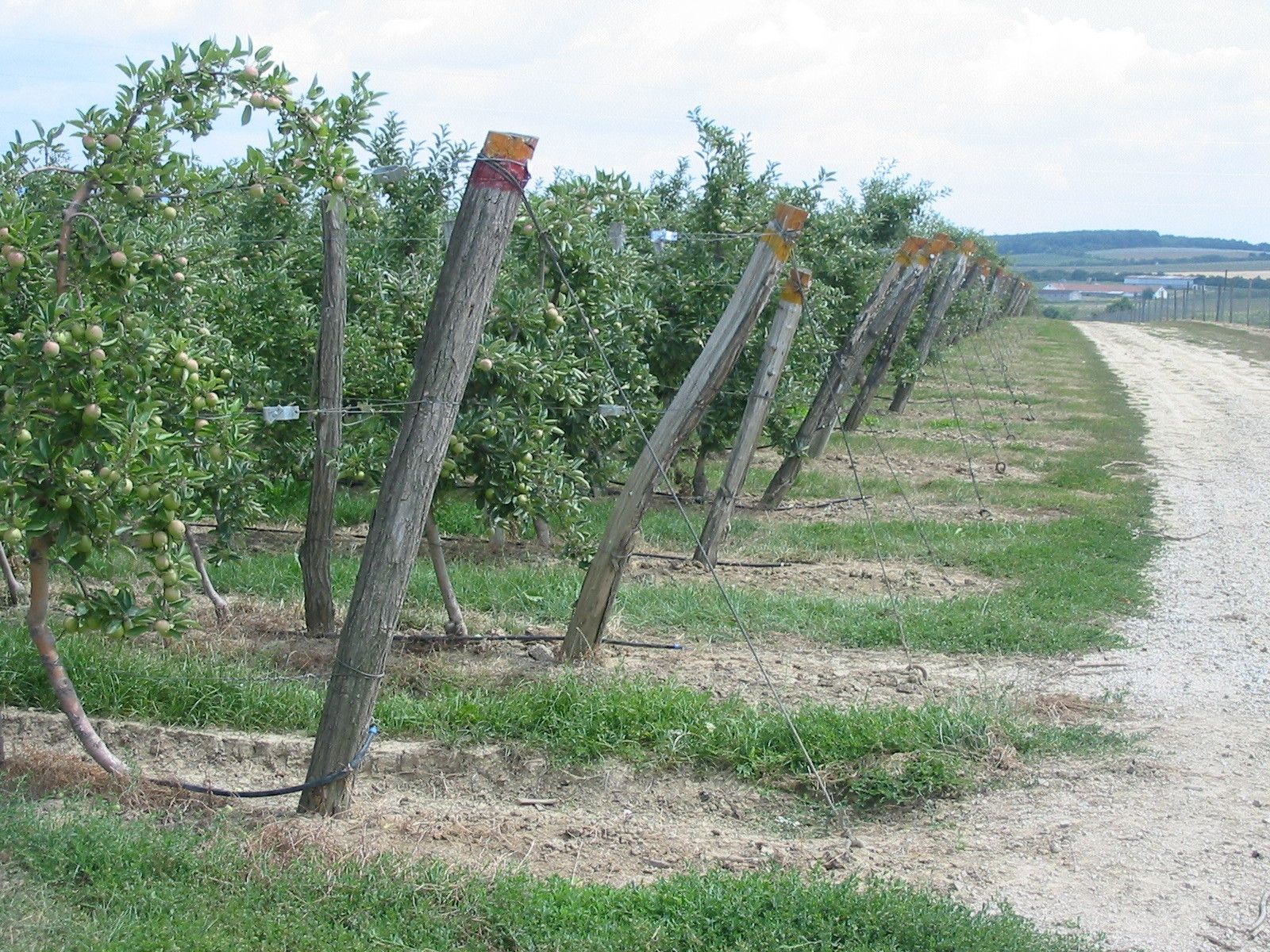 Opora štíhleho vretena