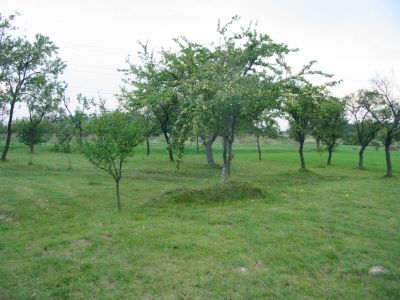 krajinotvorny_vyznam_drevin_03