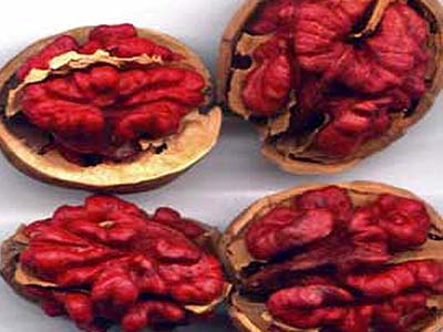 Orech červený SYCHROV (bal.)