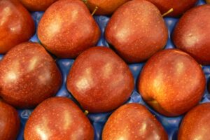 Jonagored – jedna z perspektívnych a moderných odrôd