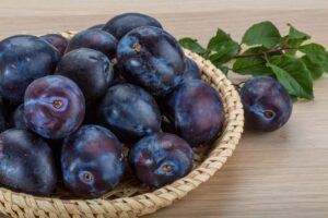 Perspektívne odrody nemeckého šľachtenia sliviek