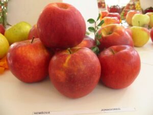 Jonagored a jeho klony