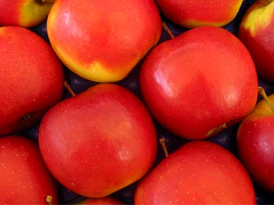 Jonagold a jeho klony