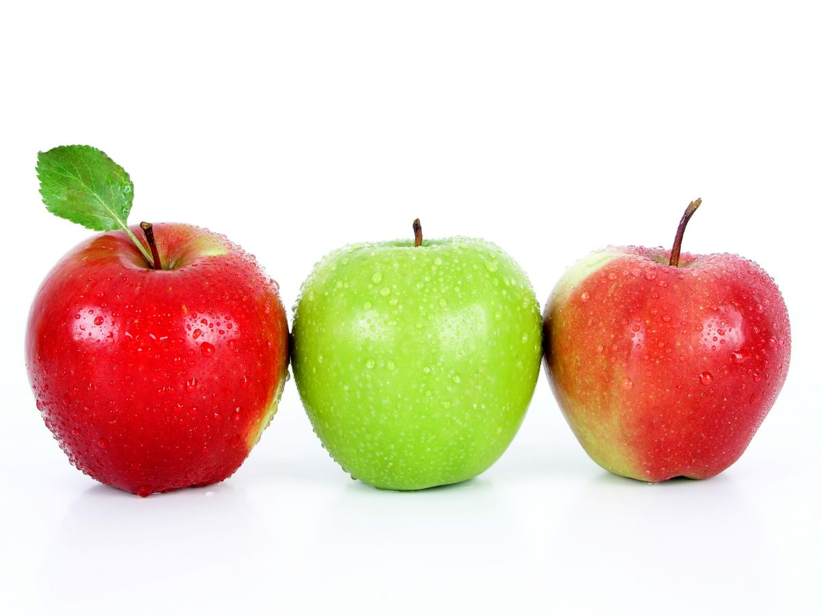 Nové odrody jabloní pre svetové produkčné výsadby