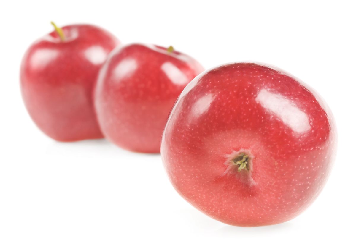 Odrody svetového sortimentu prichádzajú do ČR