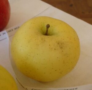 Čistecké lahôdkové