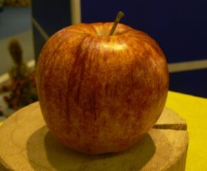 Kardinál pásikový