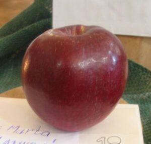 Malinové hornokrajské