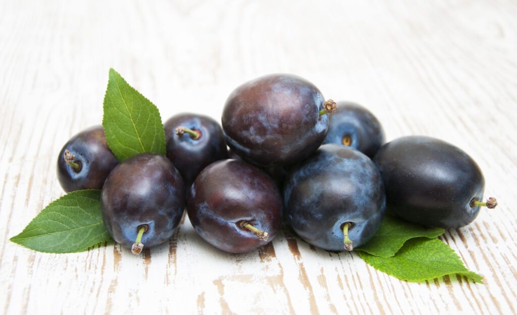 ČAČANSKÁ RODNÁ, myr.