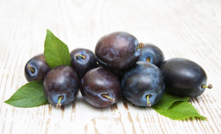 ČAČANSKÁ RODNÁ, myr.