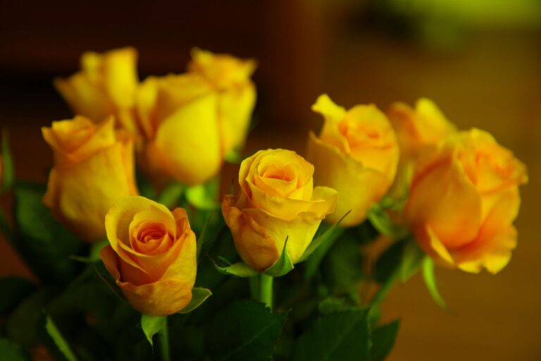 GOLDEN PARFUM, stromková, bal.