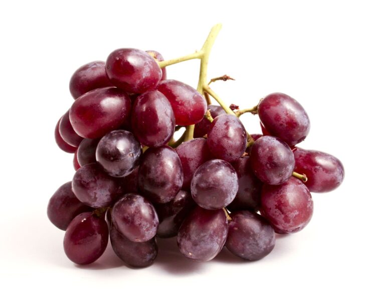 EINSET SEEDLESS
