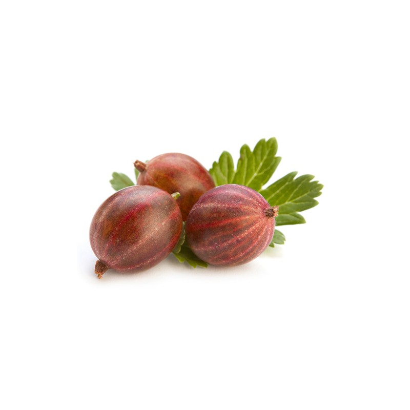 HINNONMAKI ROT ker, kont.