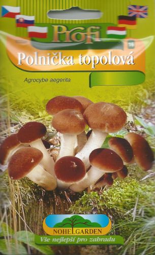 Poľnička topoľová