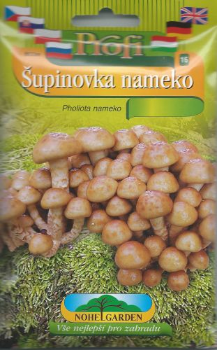 Šupinovka nameko