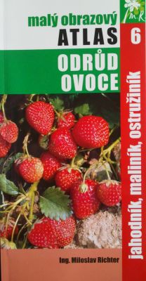 Atlas odrôd ovocia - jahody, maliny a černice