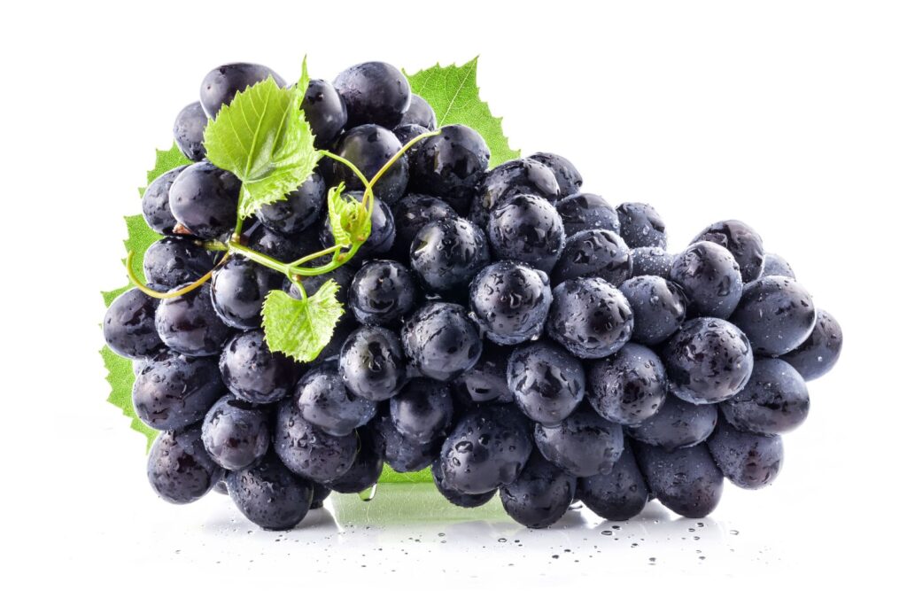 NADIEŽDA AZOS, kont.