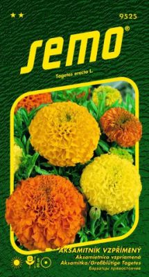 Aksamietnica Double Grande zmes