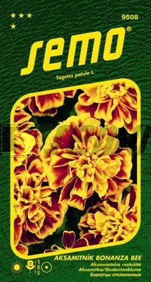 Aksamietnica Bonanza Bee