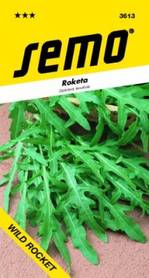 Rukola Wild Rocket