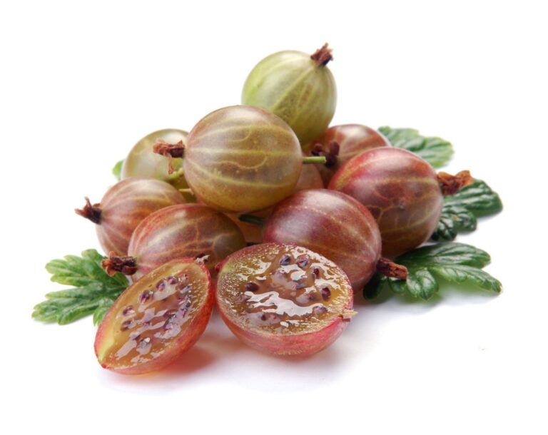 SPINEFREE ker, kont.