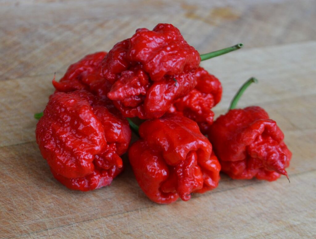 Carolina Reaper