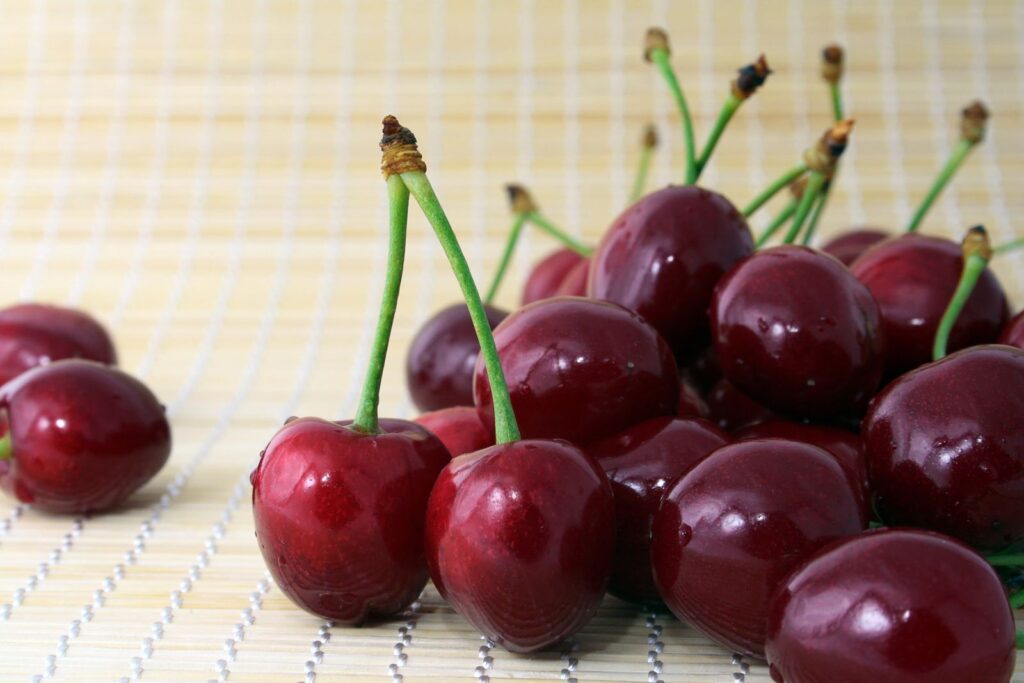 HARDY GIANT, Gisela 6