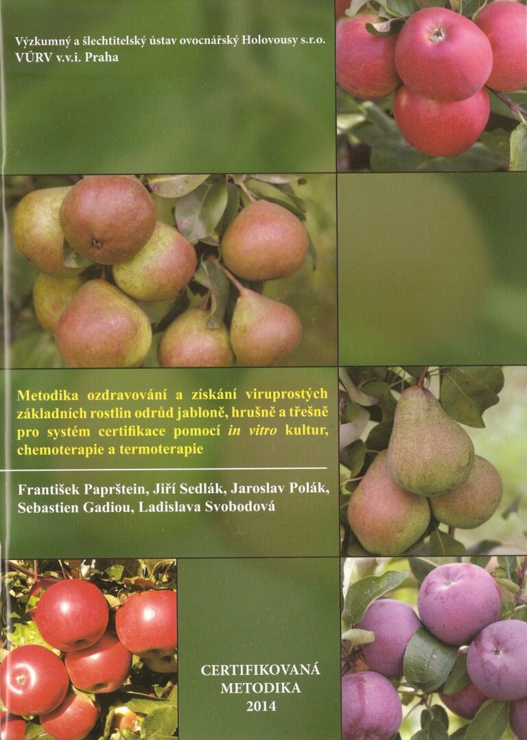 Metodika ozdravovania a získavania odvírených základných rastlín odrôd jabloní, hrušiek a čerešní pre systém certifikácie pomocou in vitro kultúr, che