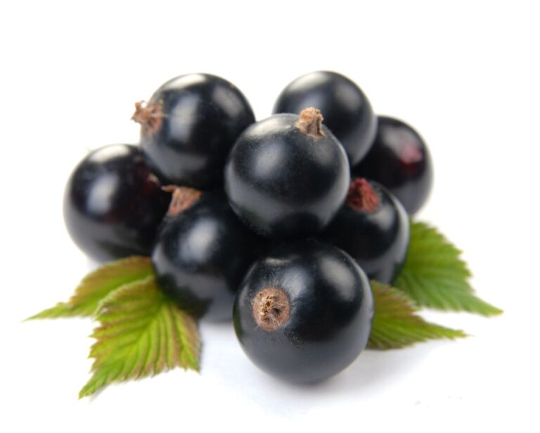 JUBILEJNAJA KOPANJA ker, kont.