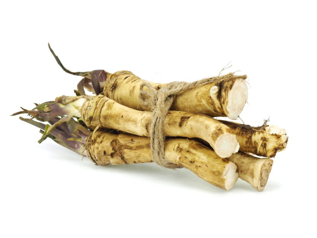 CHREN "POLSKA", kont.