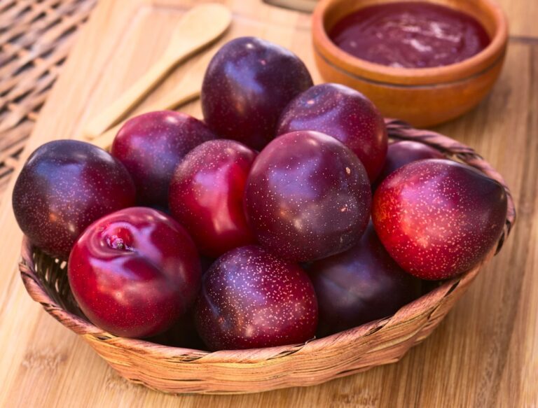 HOLLYWOOD (P. cerasifera), myr.