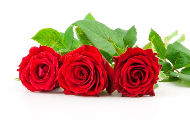 CHRYSLER IMPERIAL, stromková