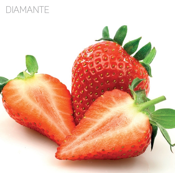 Jahoda DIAMANTE
