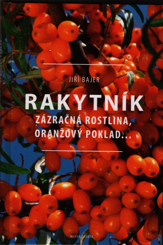 Rakytník - zázračná rastlina, oranžový poklad