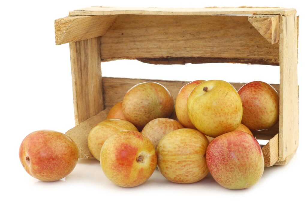 Pluot® FLAVOR QUEEN, kont.