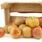 Pluot® FLAVOR QUEEN, kont.