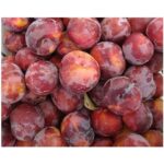 Pluot® FLAVOR GEM, kont.