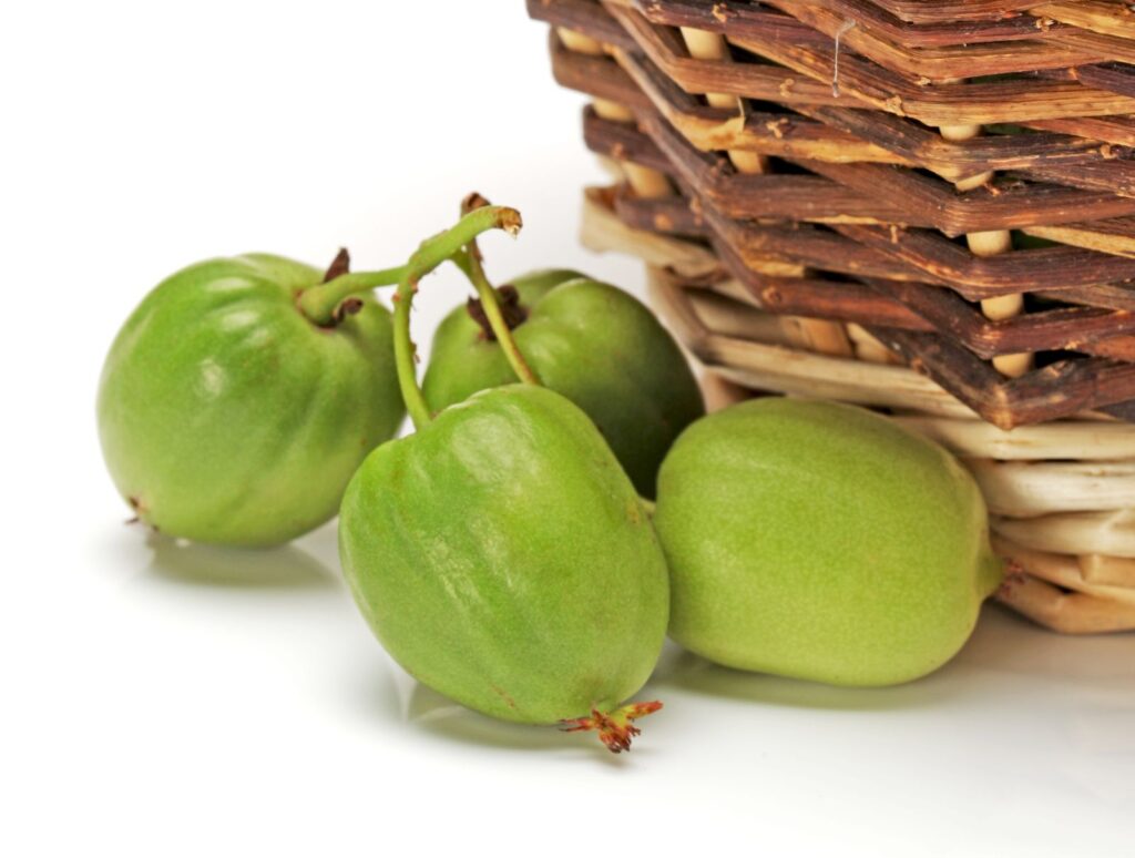 HOKEY POKEY® (A.arguta)