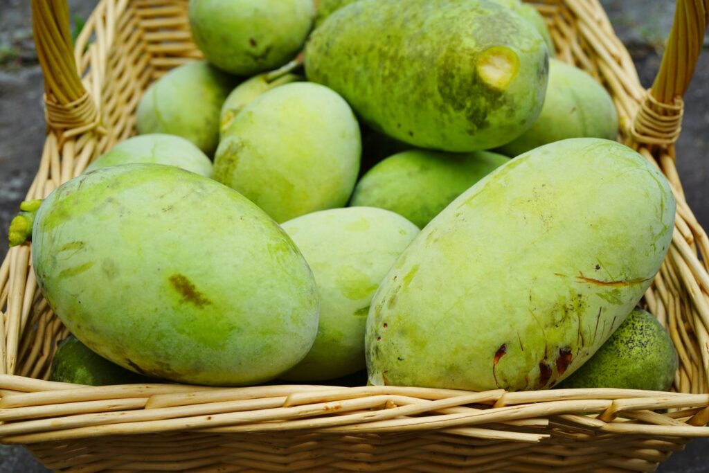 PAW PAW "TAYTWO", kont.