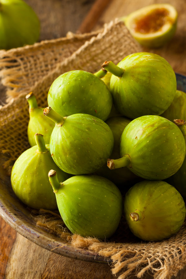 BROGIOTTO BIANCO, K20