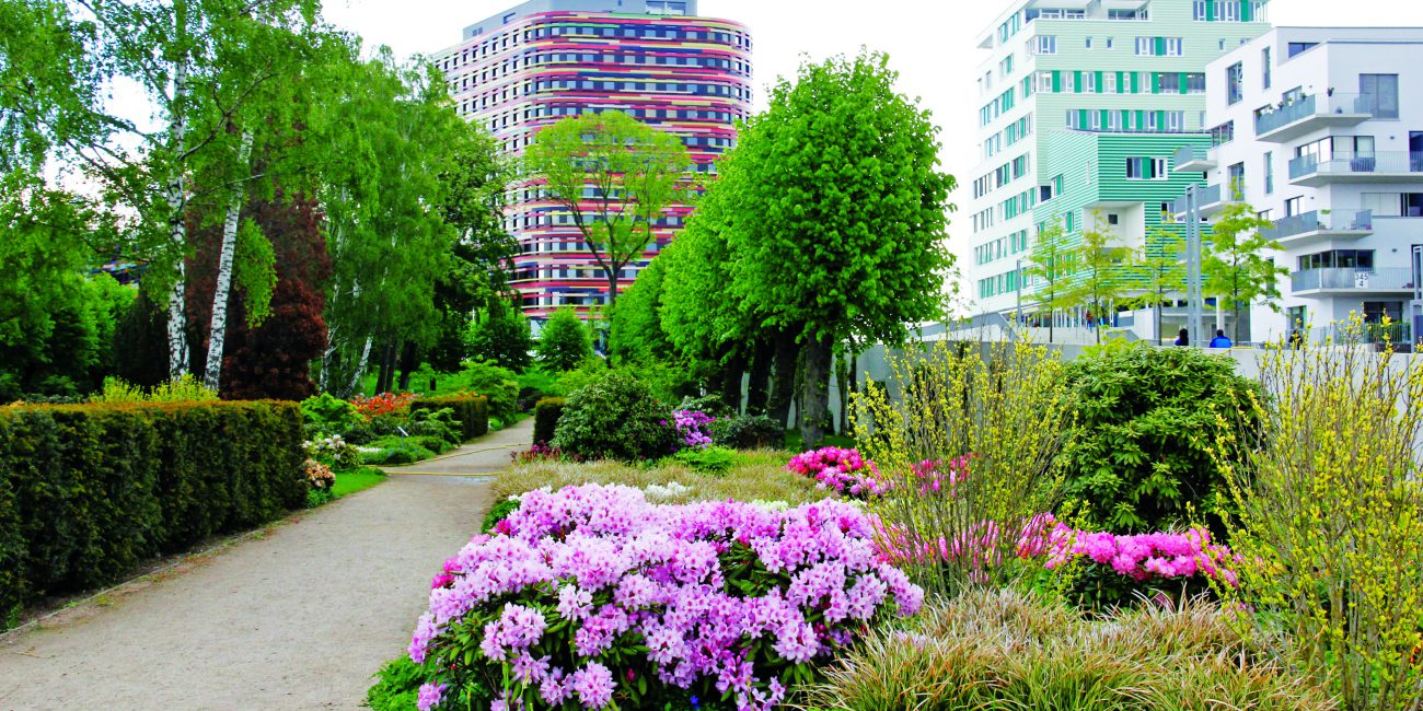 OBECNÉ A MESTSKÉ SAMOSPRÁVY, VEREJNÁ ZELEŇ