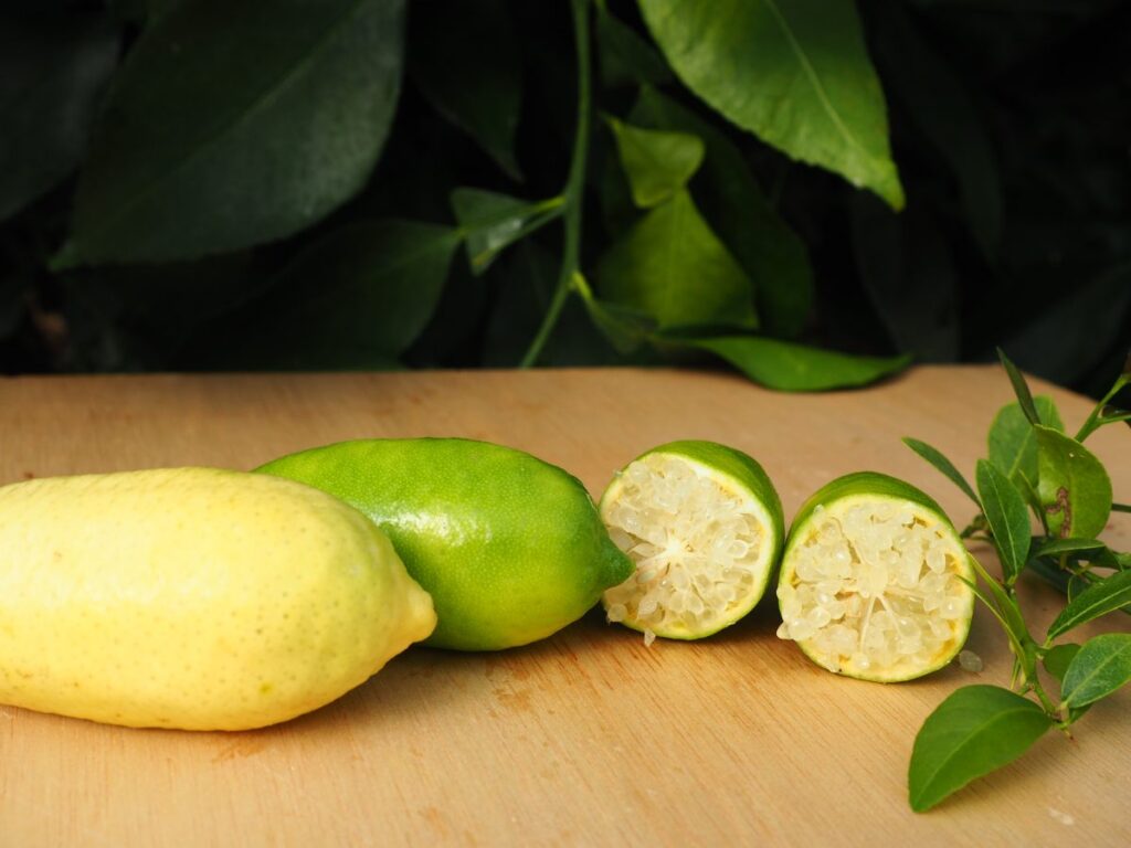 Citrus grandis „FAUSTRIME“