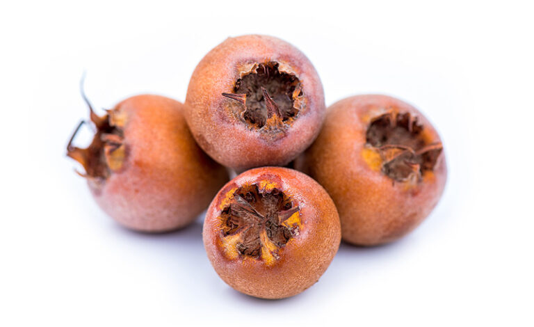 NEMECKÁ (Mespilus germanica), kont.