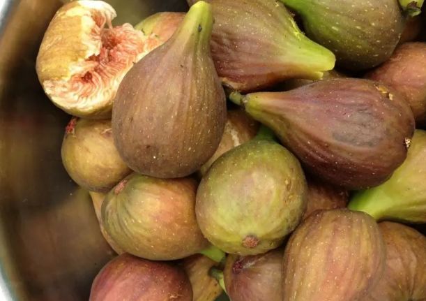 BERT V/D KEMPEN, kont.