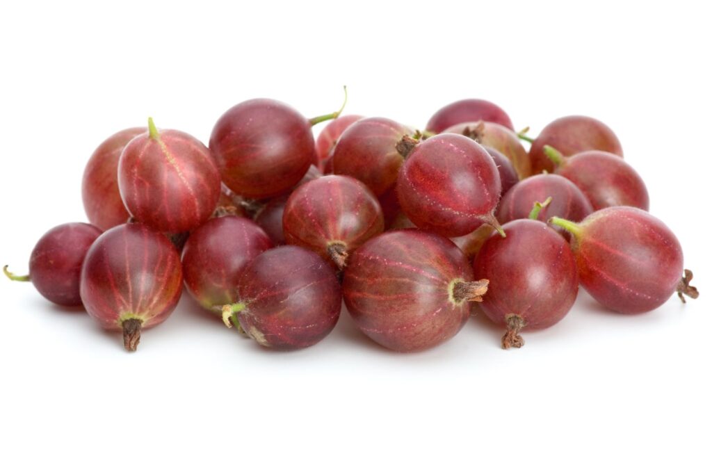 NIESLUCHOWSKI strom, kont.