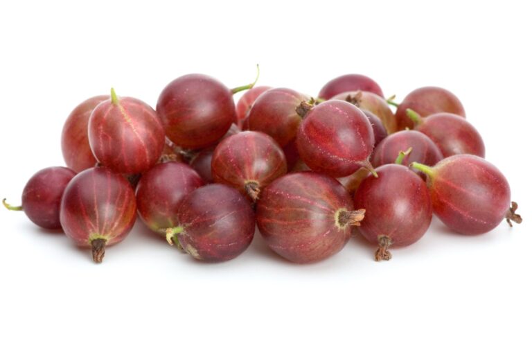 NIESLUCHOWSKI strom, kont.