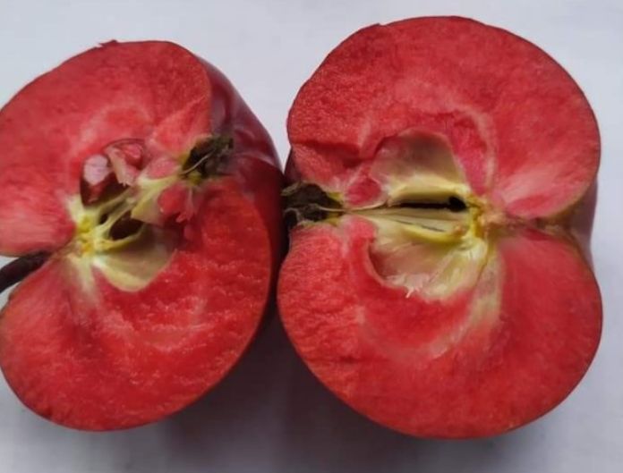 ROTERGARDETELER, kont.