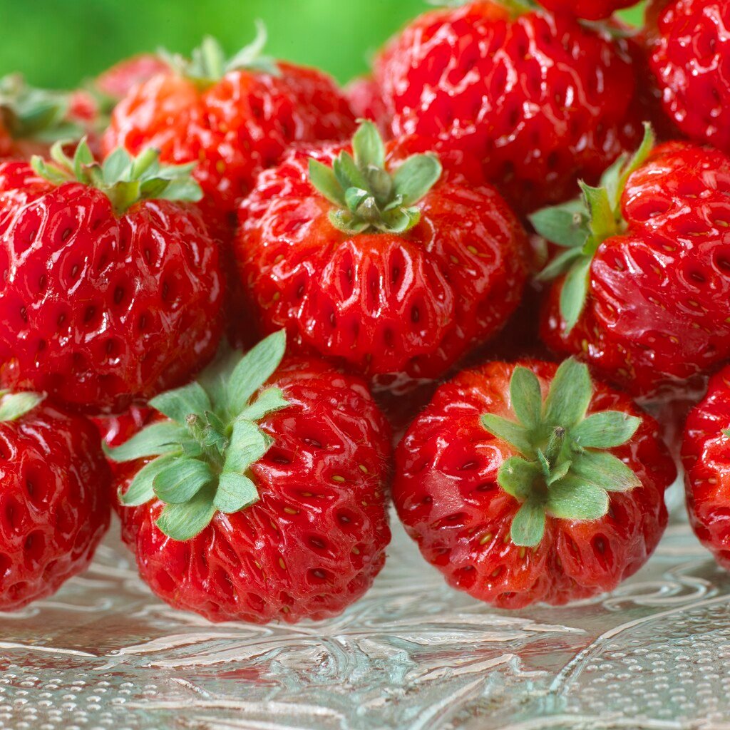 FRAMBERRY "RED DREAM", kont.