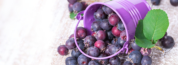 Menej známe ovocné druhy