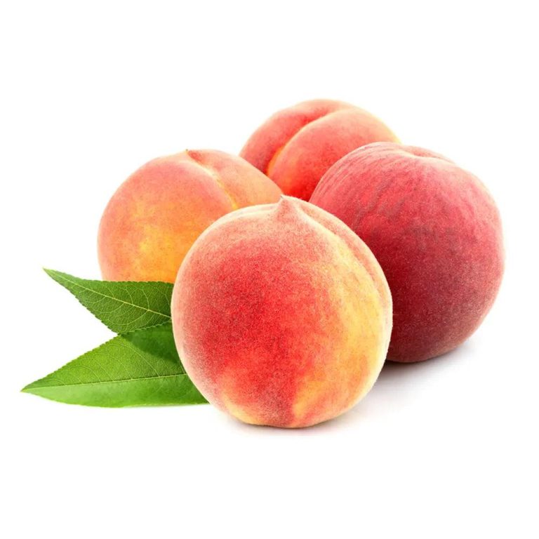 Broskyňa ANDROSS, kont.